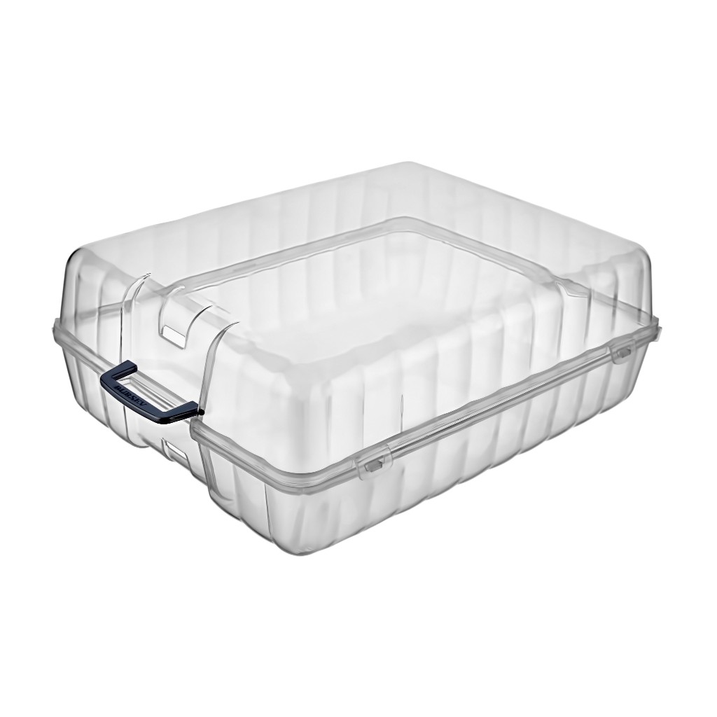Caja Para Zapatos 27X35X13Cm
