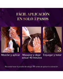 Accesorio De Jarra 5 Tazas Bvstdc05 Oster
