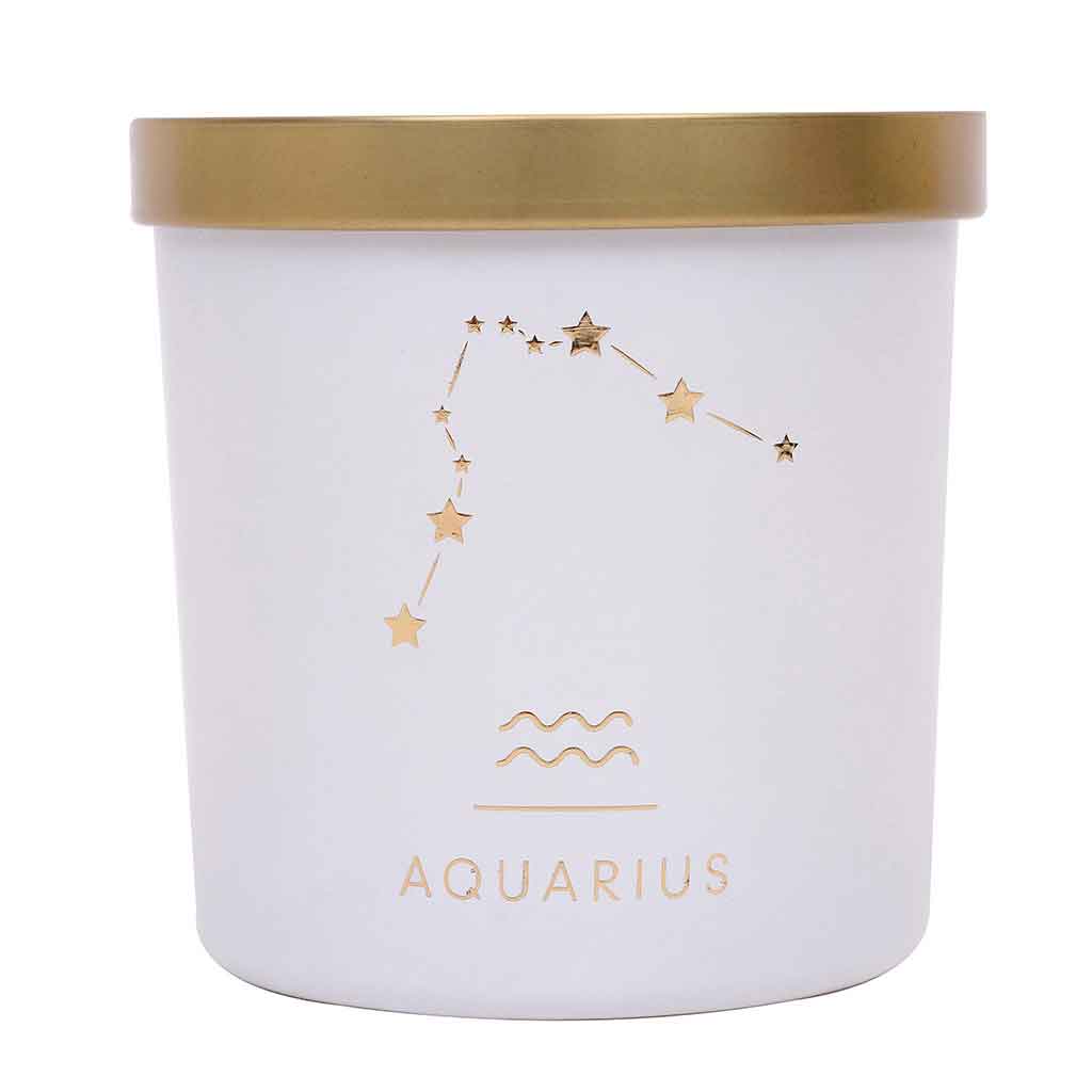 Vela aromática acuario 22X12X10.5CM