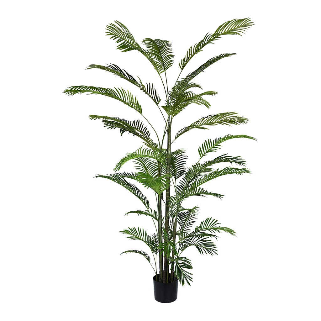 Palma De Areca Artificial 2.5m
