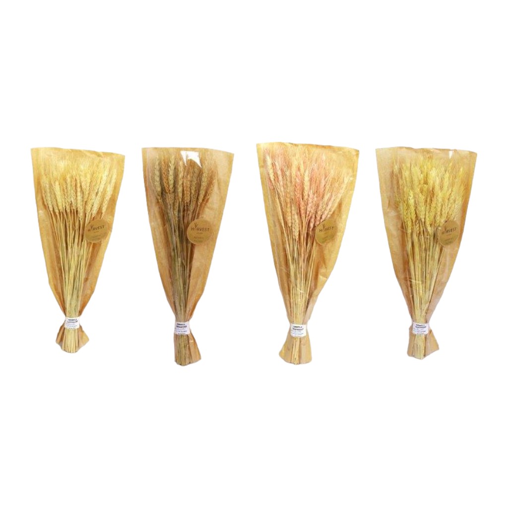 Ramo De Flores Secas 60Cm Surtidas