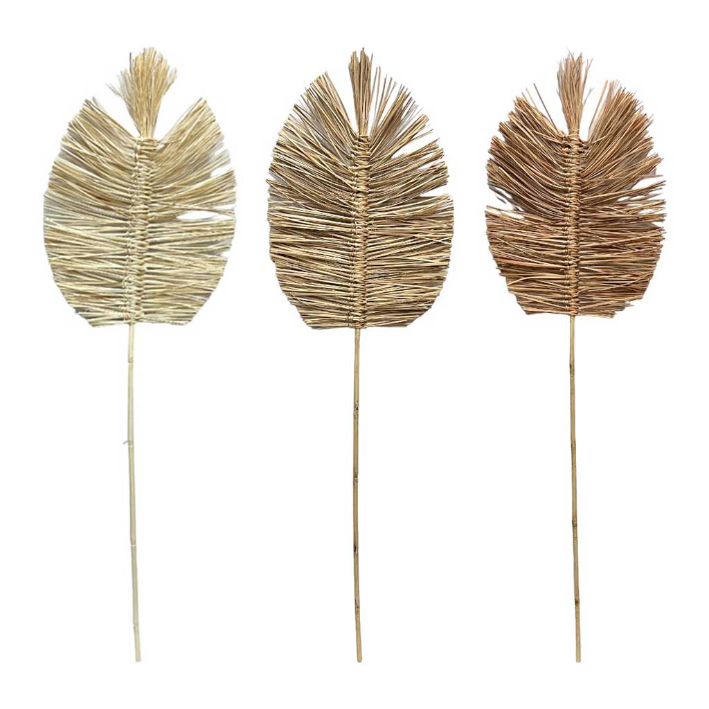 Hoja Boho 3 Estilos 30X40X100Cm - Surtidos