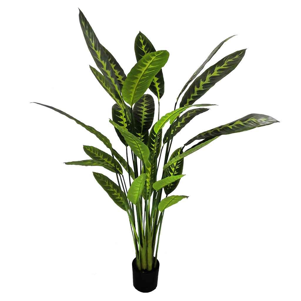 Planta artificial de calathea leopordina en maceta 1.6M