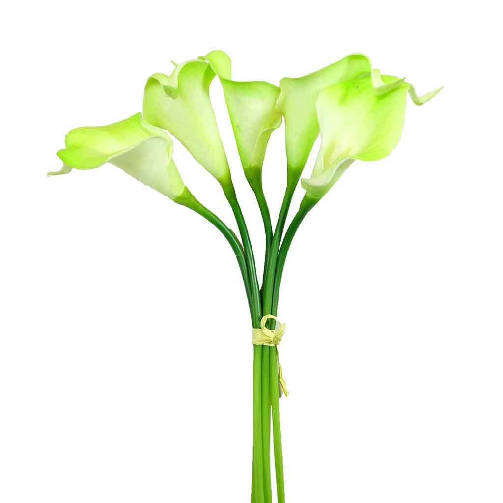 Flor Artificial De Calla X5 Bundle Crema/Verde 35.5Cm