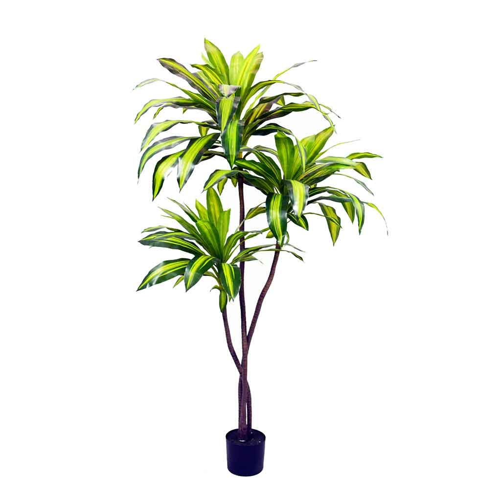 Planta artificial de dracaena en maceta