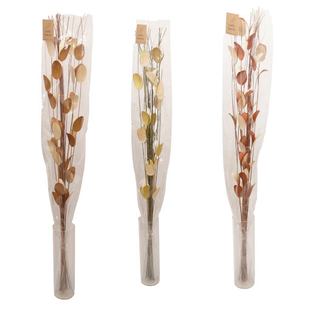 Flores Secas Decorativas De Fibra Natural Surtido 100cm