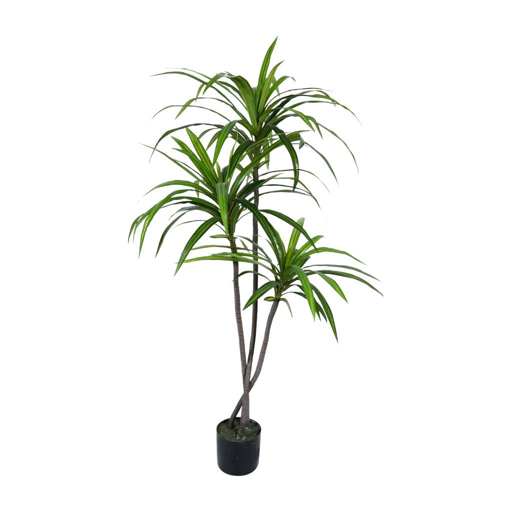 Planta Artificial Dracaena 5.4 Pies