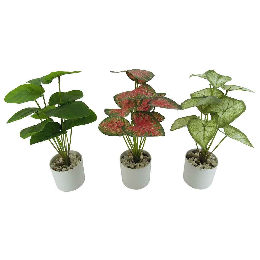 Plantas artificiales de taro en maceta 38CM surtidas