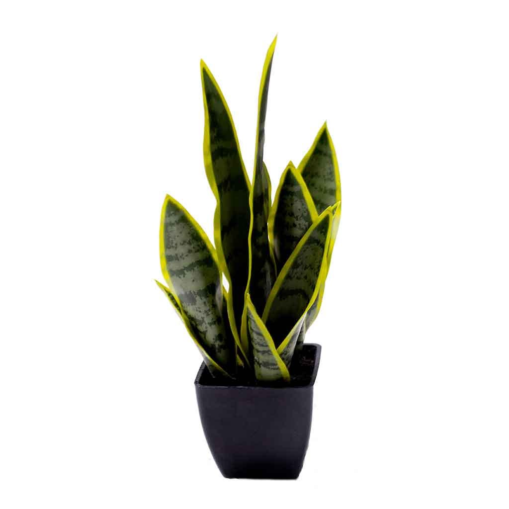 Planta artificial de sansevieria en maceta 35CM