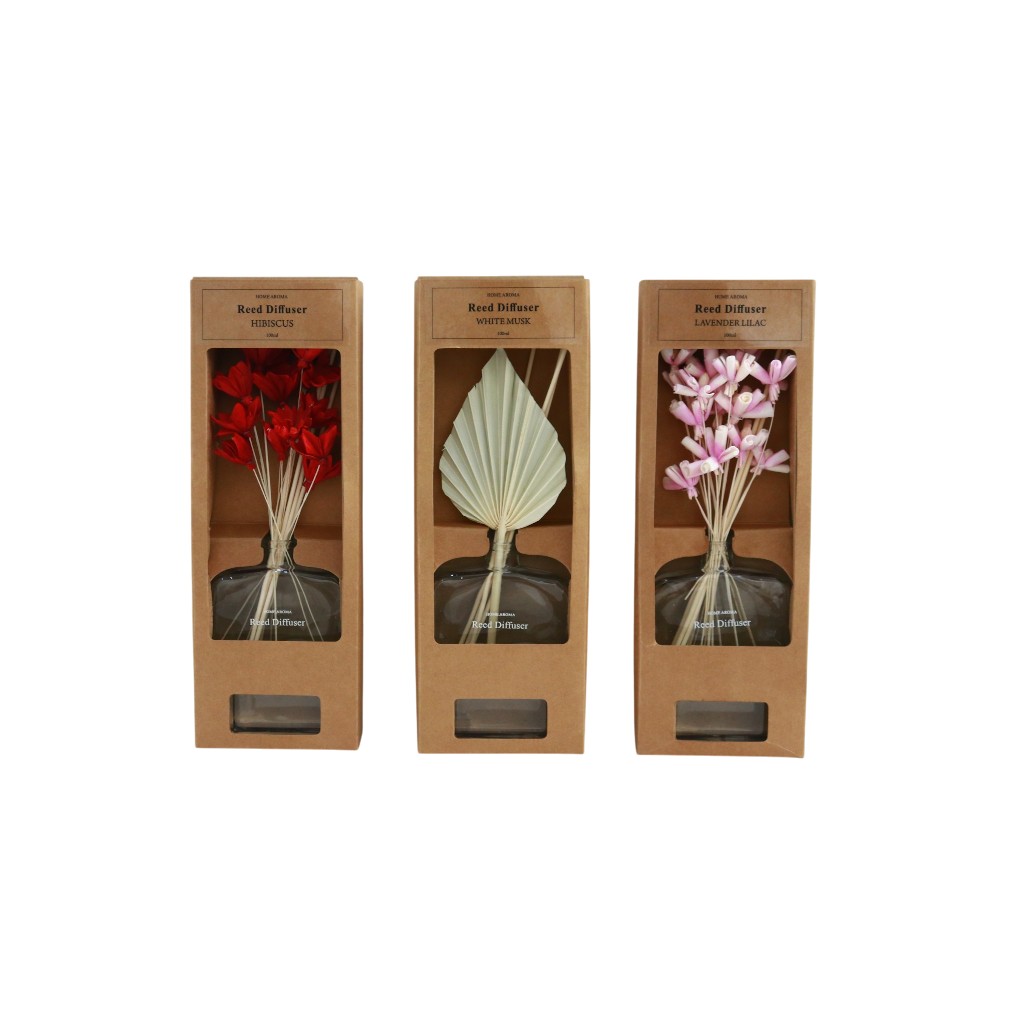 Difusor De Cañas 100Ml Surtidos