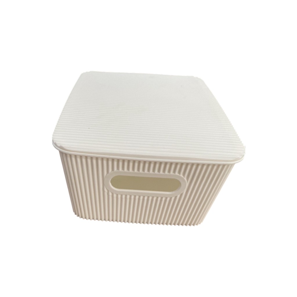 Caja Organizadora 26X20X11Cm