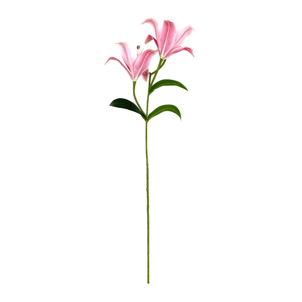 Azucena Rosa 60cm