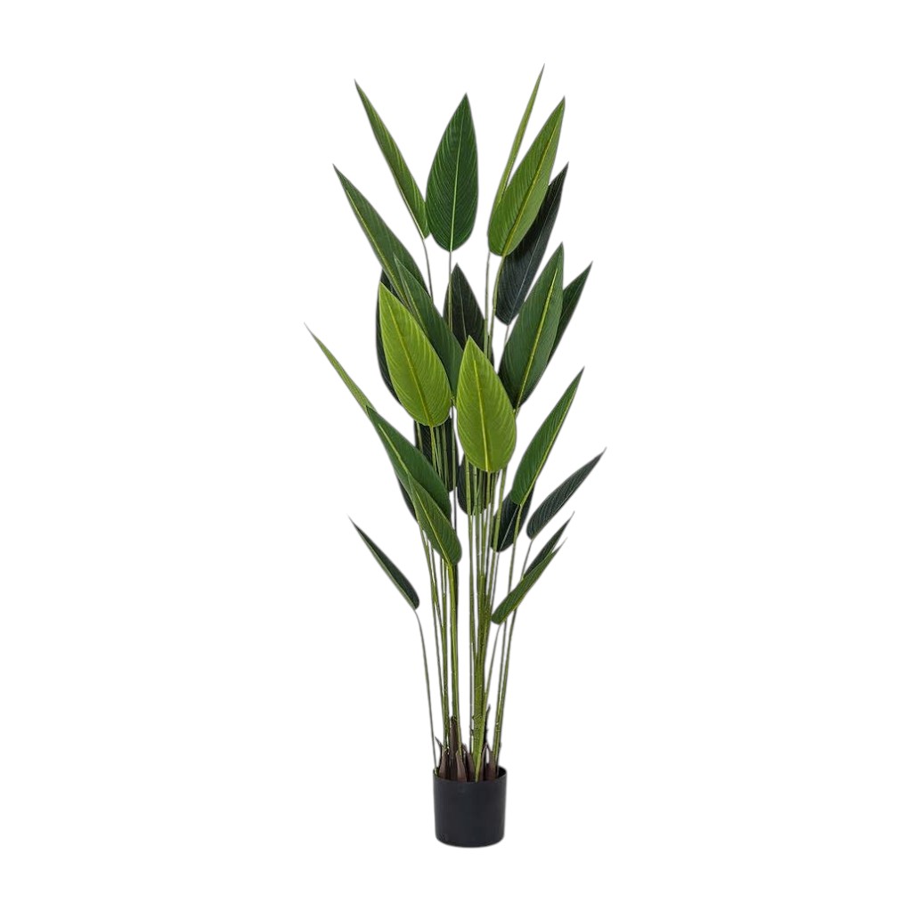 Planta Artificial Ave Del Paraíso 6.2 Pies