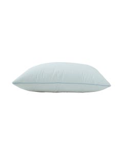 Almohada Blanco 50X70Cm