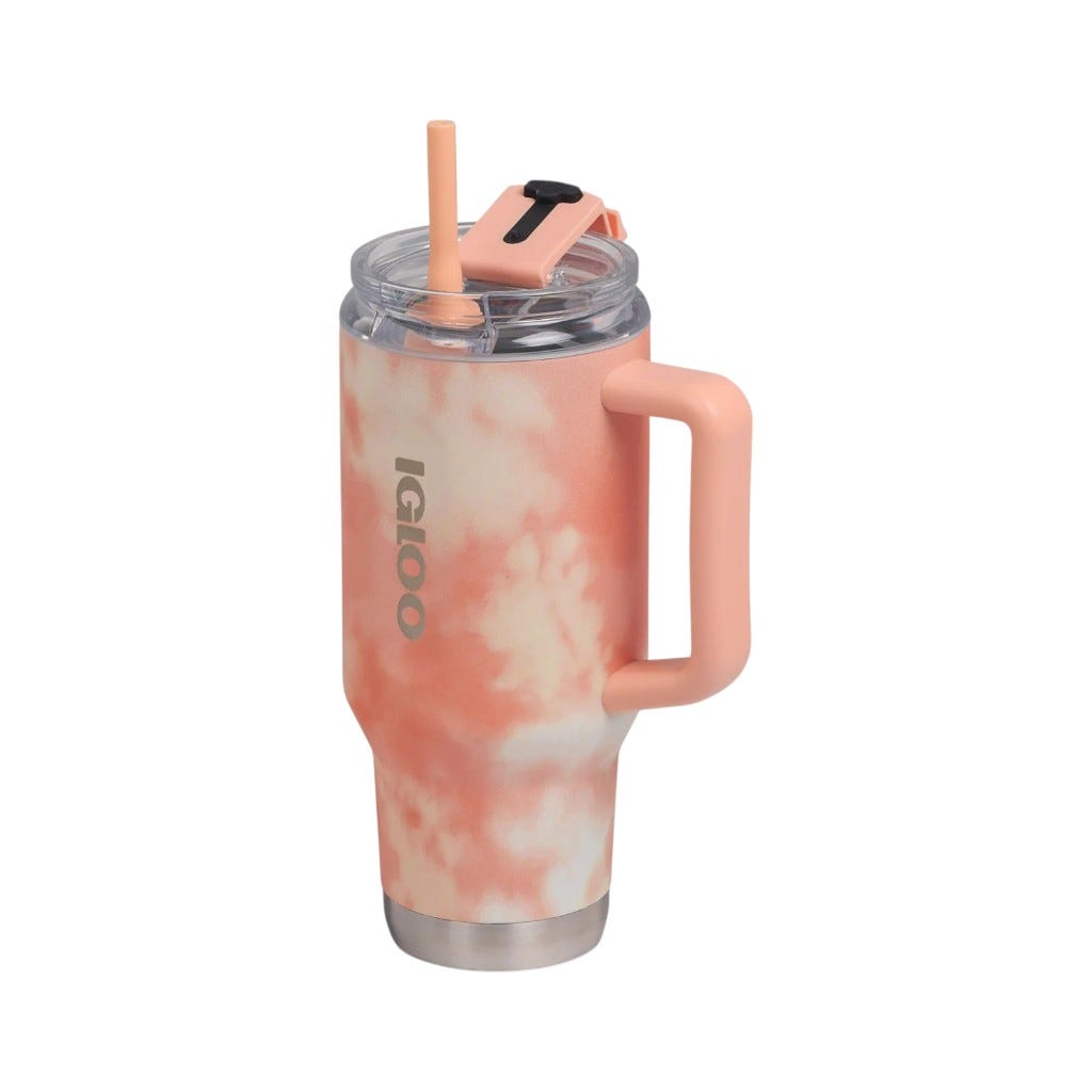 Vaso De Viaje 32oz Dye Igloo