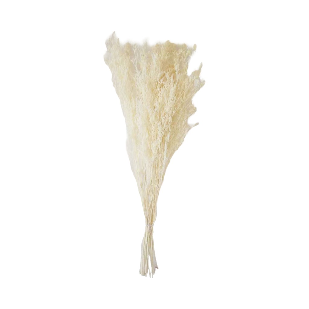 Ramo De Statice Ruso Blanco 100Gr 75Cm