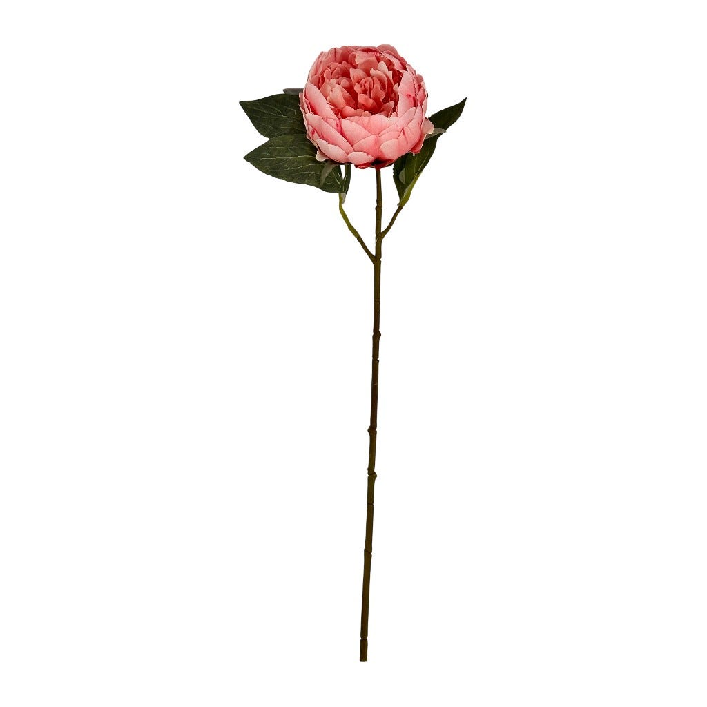 Peonia Beauty Artificial 51cm