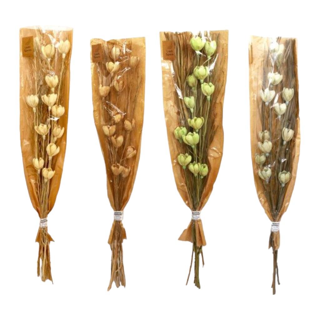 Ramas Secas Naturales 100Cm