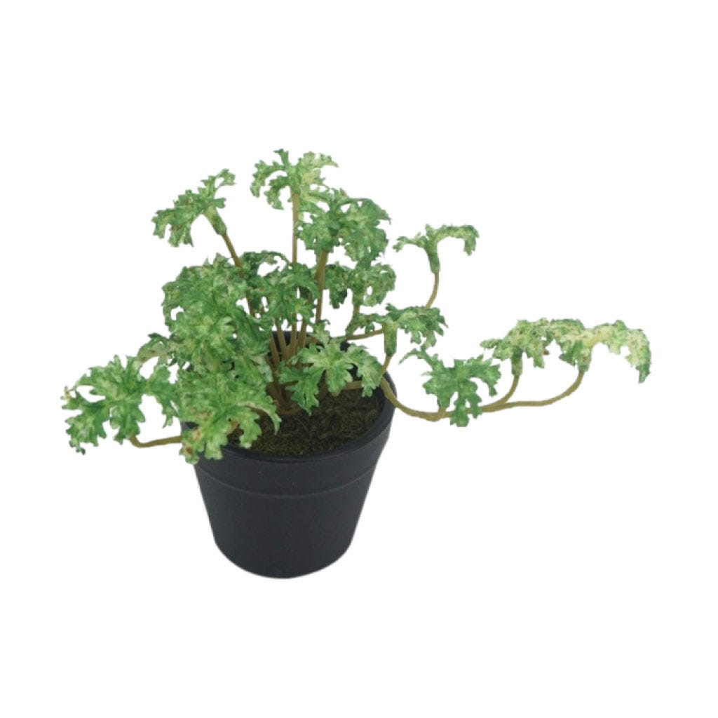 Plantas artificial de Anthurium en maceta con diseños variados