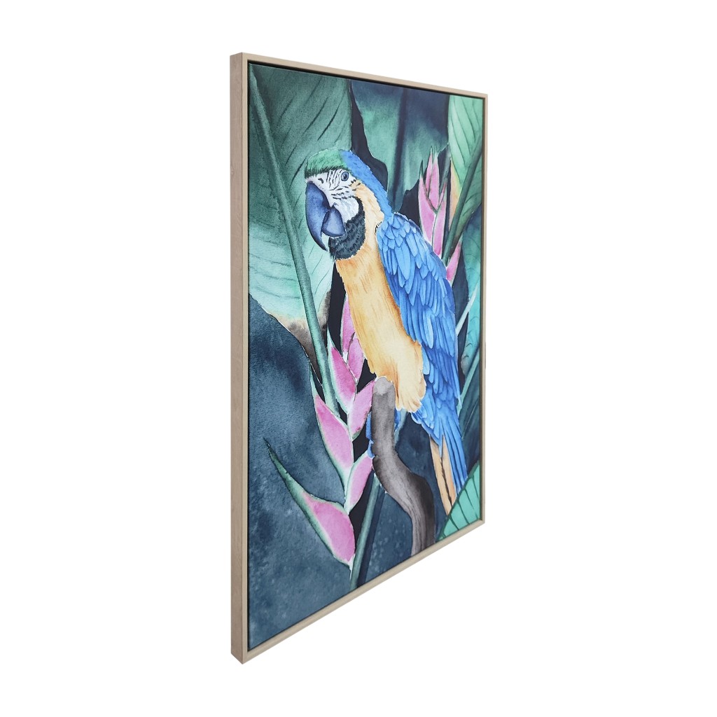 Cuadro De Guacamaya 63X93X4Cm