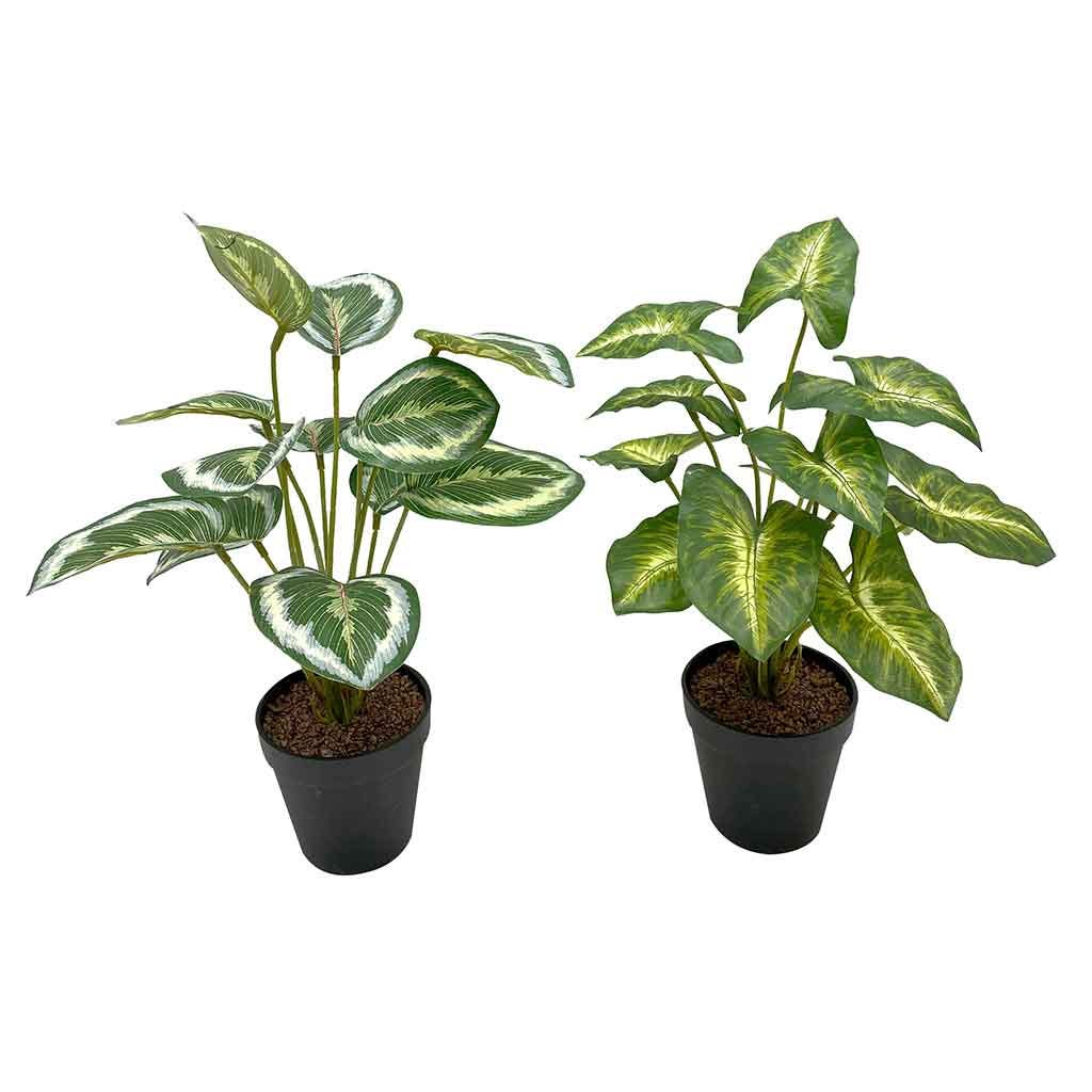 Plantas artificiales de calathea en maceta 37CM surtidas
