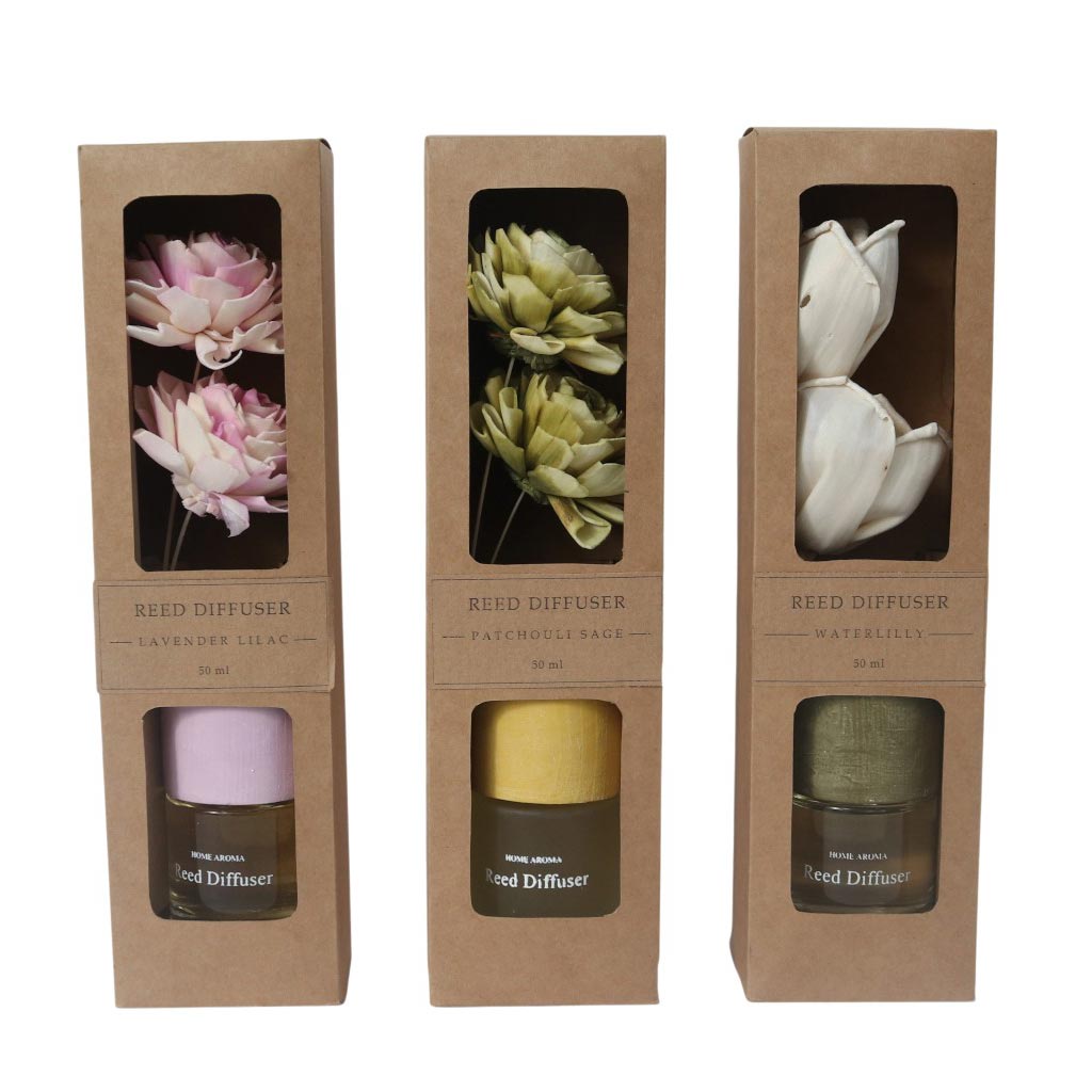 Difusor De Cañas 50Ml Surtidos