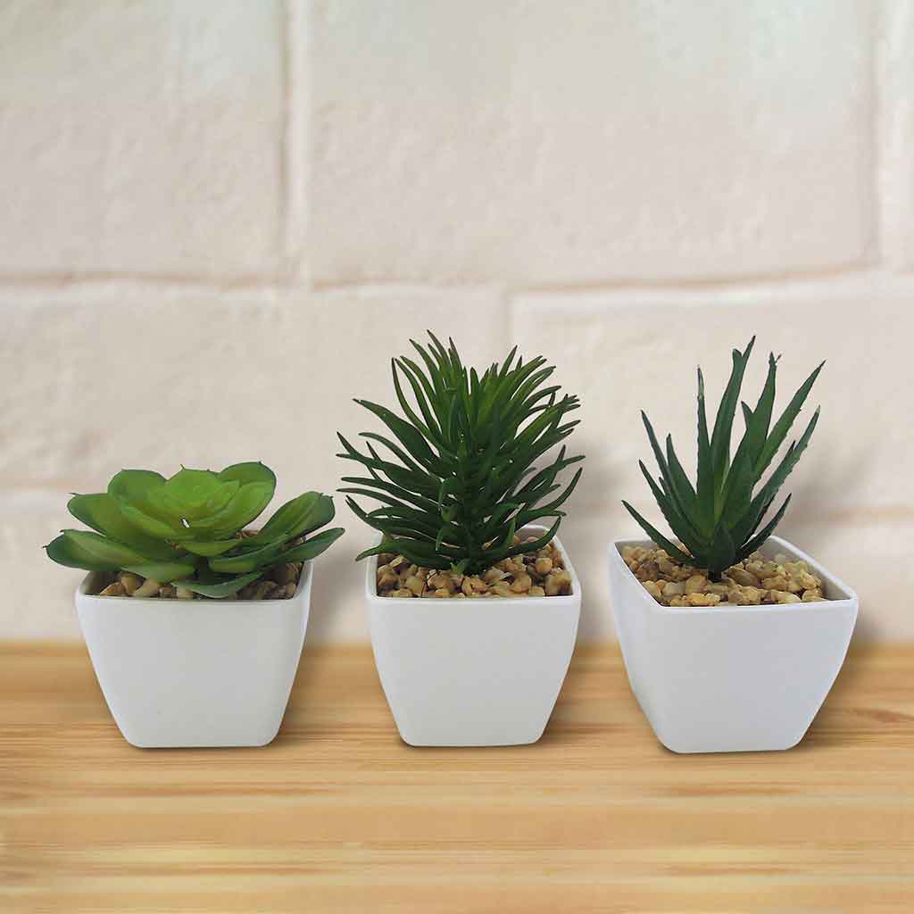 Cactus Artificiales En Pote Surtidos 15Cm