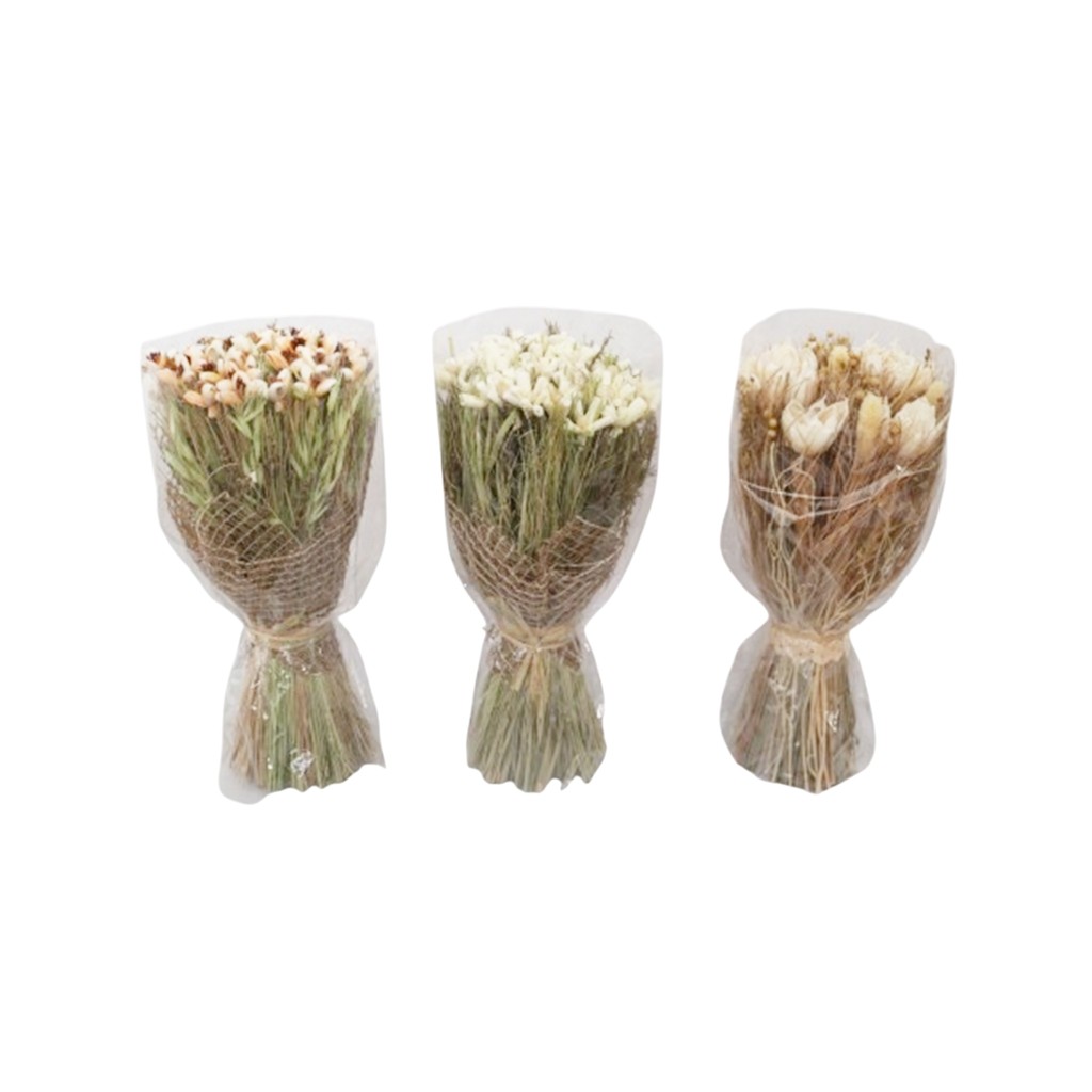 Flores Secas Decorativas Surtido 35cm