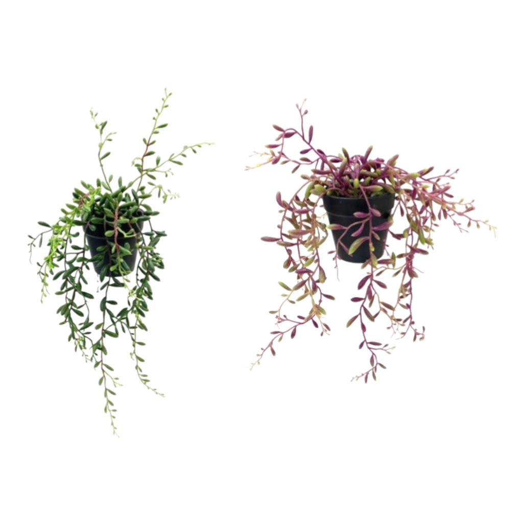 Planta Decorativa En Pote 35cm