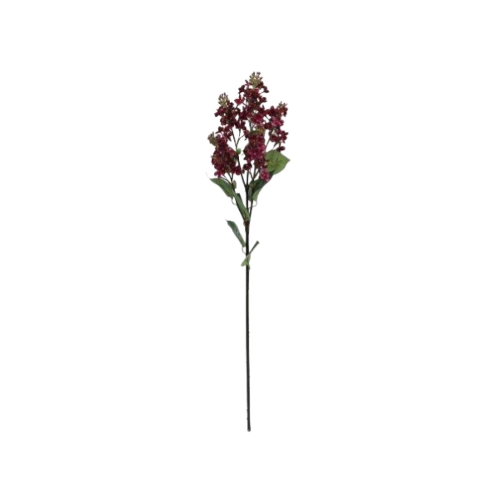 Flor Decorativa De Tweedia 80cm