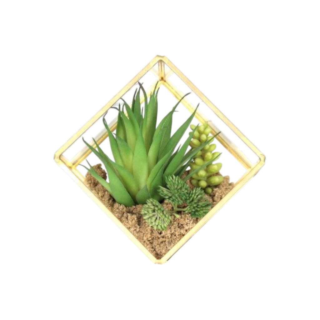 Terrario Decorativo De Suculenta 15x10x17cm
