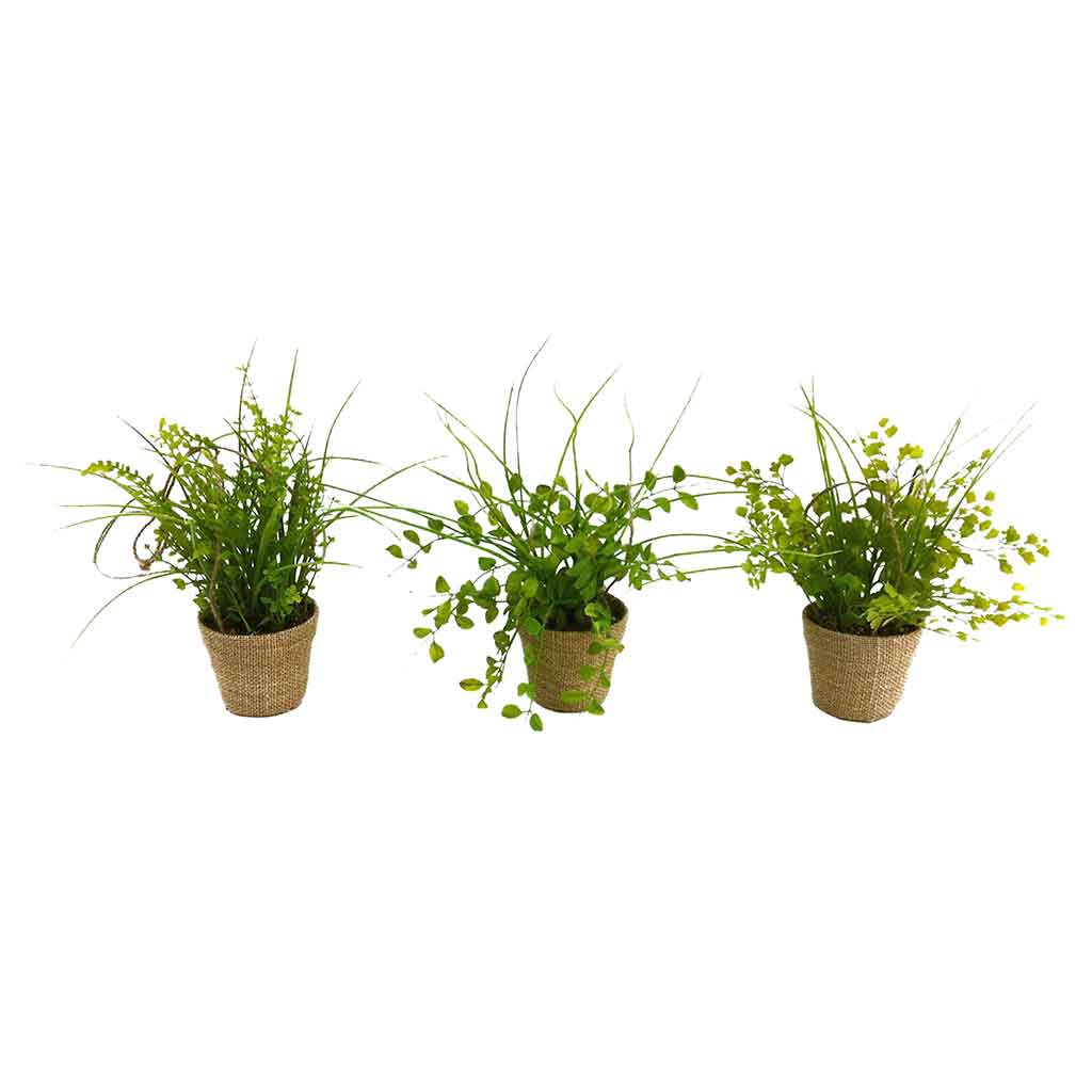 Planta Artificial En Maceta De Yute 25Cm