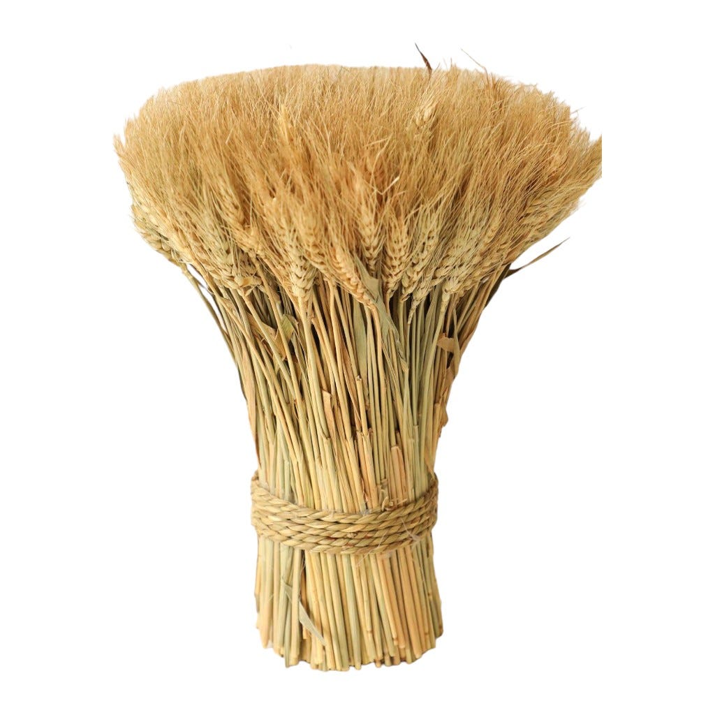 Ramo De Trigo Natural 300Gr 50Cm
