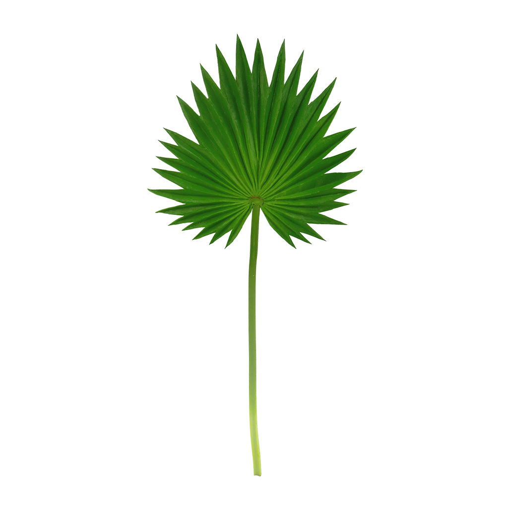 Hoja De Palma Verde Artificial 75Cm