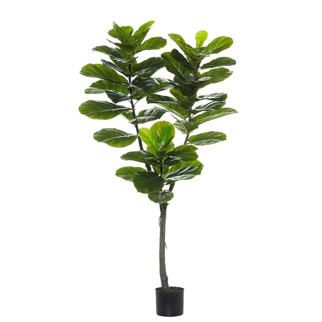 Planta artificial de hoja de violín 1.5CM