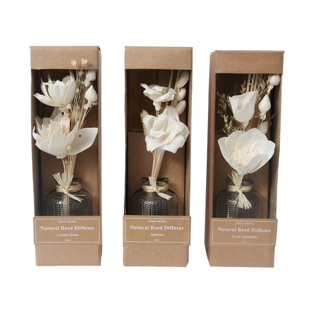 Difusor 100Ml Surtidos